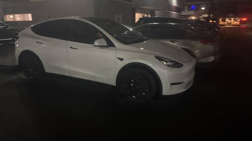 TESLA MODEL Y 2020 5YJYGDEEXLF007506 image